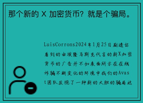 那个新的 X 加密货币？就是个骗局。